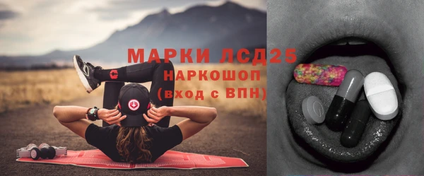 крисы Вязьма