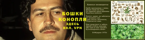 крисы Вязьма