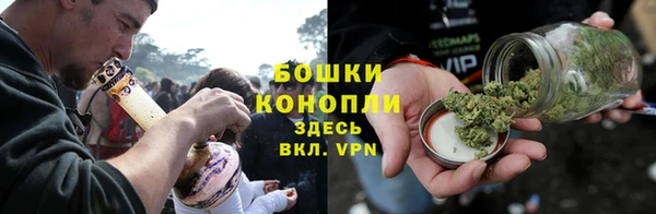 крисы Вязьма