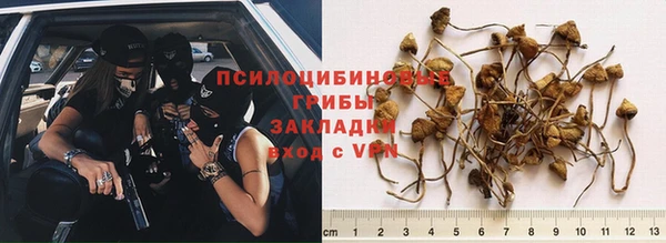 мяу мяу мука Вяземский