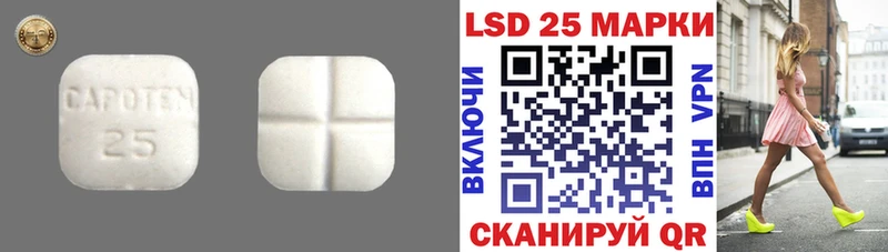 LSD-25 экстази кислота  Купить закладки  Пудож 